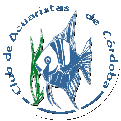 clubacuaristasdecordoba