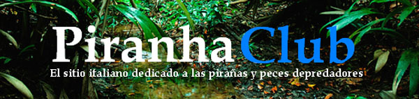 Piranhaclub