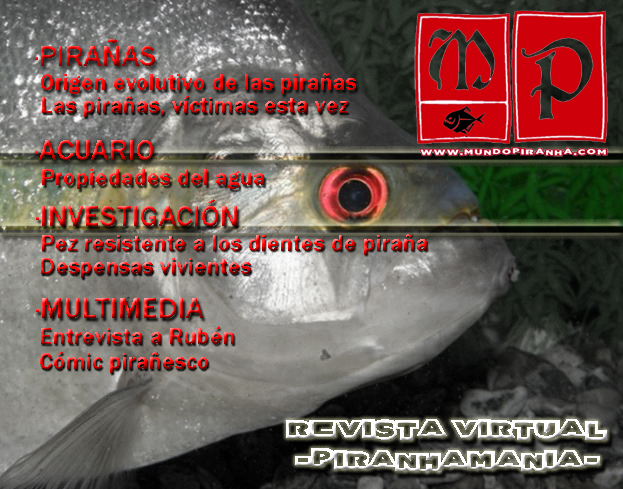 Revista