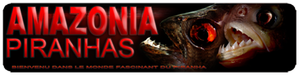 amazonia-piranhas